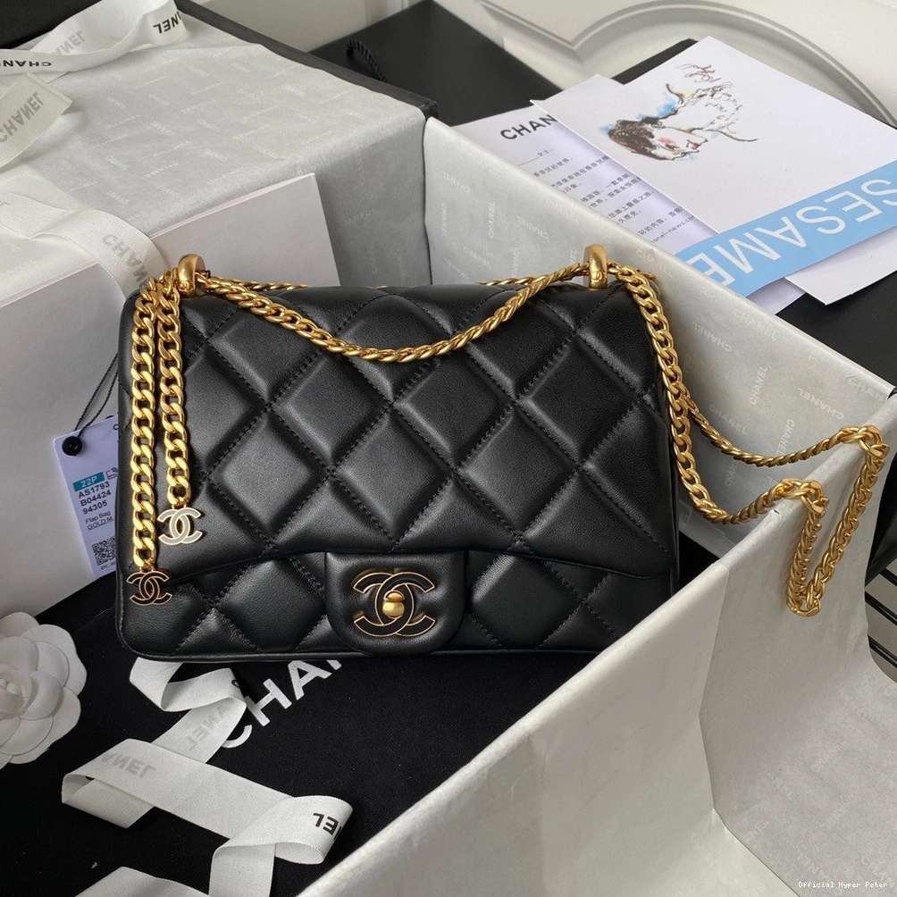 Hyper Peter FLAP BAG CHANEL 0811